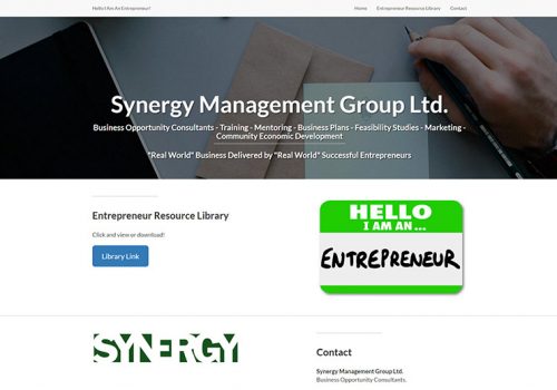 synergy-group weblapkeszites