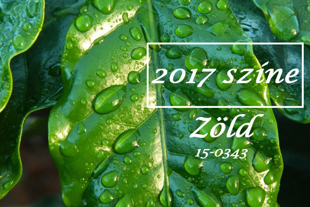 2017. év színe a zöld! Használjuk weblap készítés esetén is