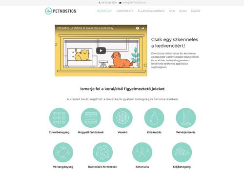 Weblap és webáruház készítés a Petnostics részére