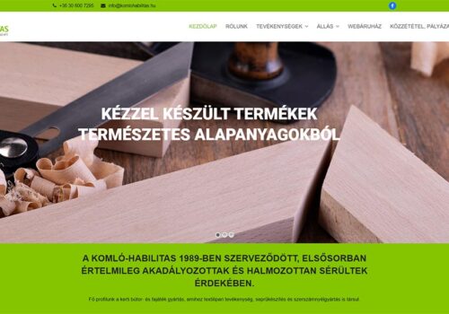 Weblapkészítés a Komló Habilitas részére