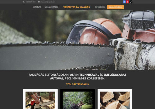 Weblapkészítés - veszélyes fák kivágása részére